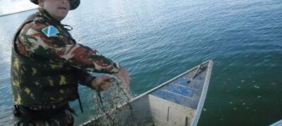 Polícia Militar Ambiental faz no Carnaval a maior apreensão de pescado desde 2007