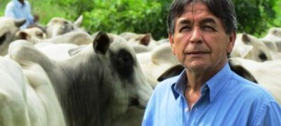 Pecuária: em marcha lenta, no rumo certo