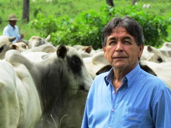 Pecuária: em marcha lenta, no rumo certo