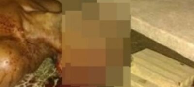 Imagens Fortes! Agricultor é morto com tiro de espingarda na cabeça; acusado já está preso