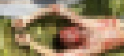 Imagens Fortes! Homem é torturado e morto a pauladas e facadas