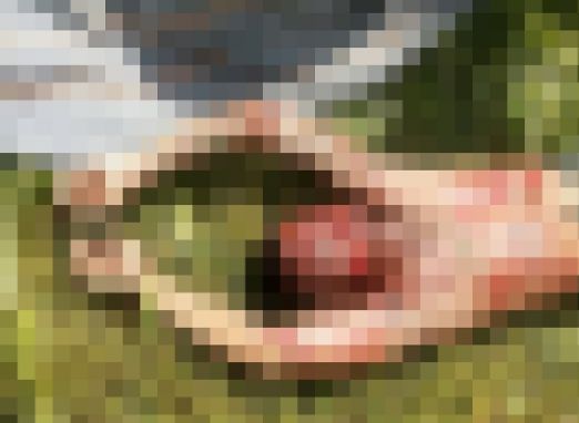 Imagens Fortes! Homem é torturado e morto a pauladas e facadas