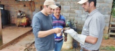 Intensificação das ações de controle garante redução nos índices de raiva em Mato Grosso do Sul