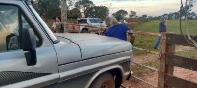 Fazendeiro morre esmagado por caminhonete que dirigia