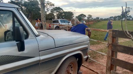 Fazendeiro morre esmagado por caminhonete que dirigia