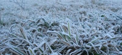 Sensação de temperatura negativa aconteceu em Bela Vista e 7 cidades do Estado