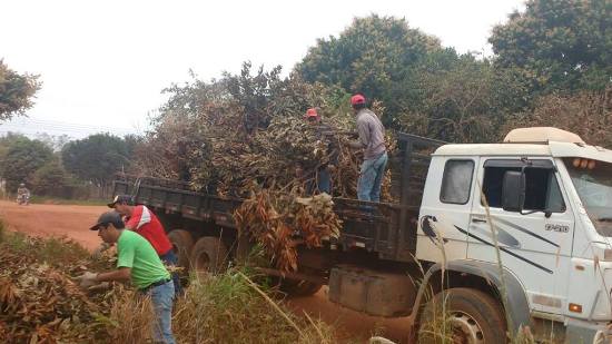 Secretaria de Obras retira galhos das ruas no Bairro Primavera