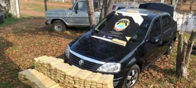 Policia Civil de Bela Vista apreende 263 quilos de Maconha