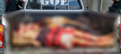 Seis suspeitos de assaltar agência do Sicredi são mortos pela polícia em Rondonópolis