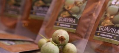 Guavira é a estrela de evento gastronômico com pratos de até R$ 15,00