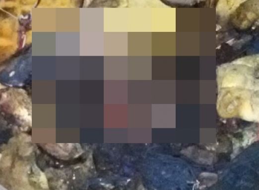 Imagens Fortes! Rebelião deixa cinco mortos na ‘Cadeia pública Raimundo Vidal Pessoa’, no Centro de Manaus