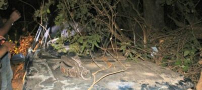 Pais morrem em acidente e filha de 5 anos busca ajuda em Porto Murtinho