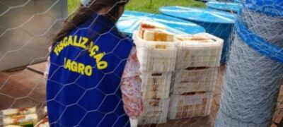 Laticio e interditado ao ser flagrado com produtos estragados e impróprios para consumo