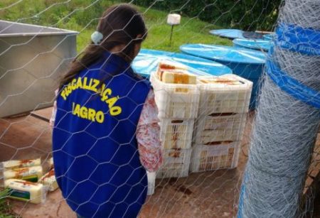 Laticio e interditado ao ser flagrado com produtos estragados e impróprios para consumo