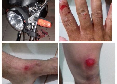 Em Bela Vista, vaca solta em pista causa acidente