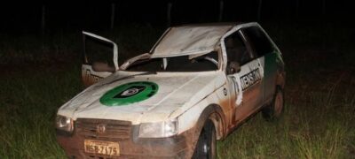 Carro atropela anta e capota próximo ao Assentamento Guaviral