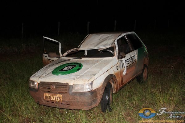 Carro atropela anta e capota próximo ao Assentamento Guaviral
