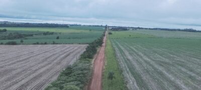 Antônio João: Parceria da Prefeitura com Governo estadual recupera estrada vicinais