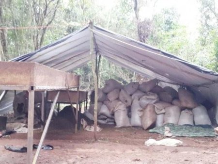 Paraguai descobre base do PCC com 35 mil quilos de maconha na fronteira