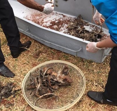 Corpos de 2 indígenas são encontrados enterrados numa fazenda em Iguatemi
