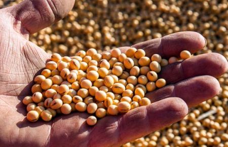 Em Maracaju 150 jovens vão debater liderança e sucessão no agronegócio