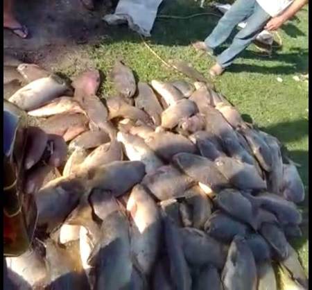 Polícia Militar Ambiental de Bela Vista localiza e autua em R$ 34 mil homem que divulgou vídeo e fotos nas redes sociais