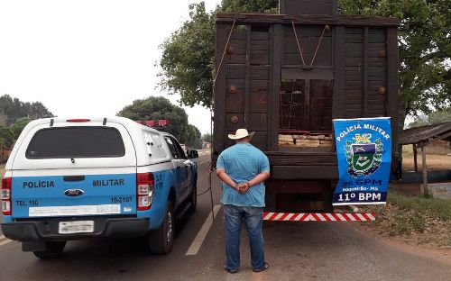 Polícia Militar apreende mais de 2 toneladas de maconha no distrito de Boqueirão