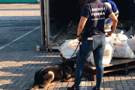 Tráfico internacional perde mais de R$ 4,68 bilhões só em cocaína