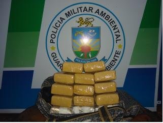 Polícia Militar Ambiental de Amambai prende caminhoneiro e jovem de 18 anos com 13 kg de maconha e já são 1.083 kg da droga apreendidos