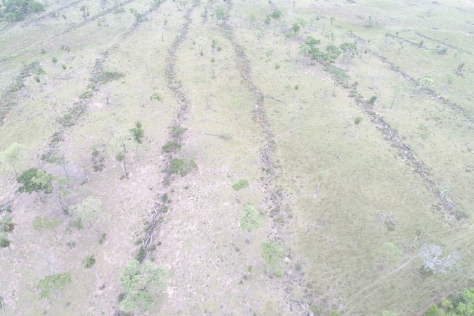 Polícia Militar Ambiental de Bela Vista autua infrator em R$ 23,7 mil por desmatamento ilegal de 79 hectares