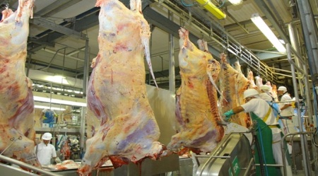 Produtores credenciados no Precoce MS receberam R$ 44,9 milhões em incentivos do Governo neste ano