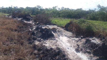 Polícia Militar Ambiental de Bela Vista autua infrator em R$ 2 mil por incêndio em madeira e galhadas de árvores derrubadas