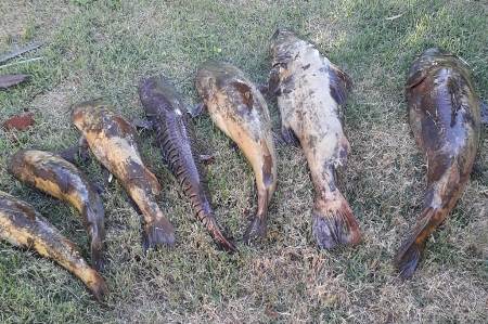 PMA de Jardim autua pastor e dois mestres de obras em R$ 4 mil por divulgação nas redes sociais de pesca predatória