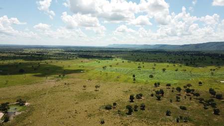 Polícia Militar Ambiental de Coxim autua paulista em R$ 108 mil por desmatamento ilegal de vegetação
