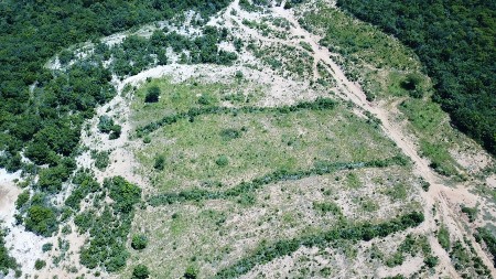 Polícia Militar Ambiental de Coxim autua infrator em R$ 118 mil por desmatamento ilegal de 102 hectares