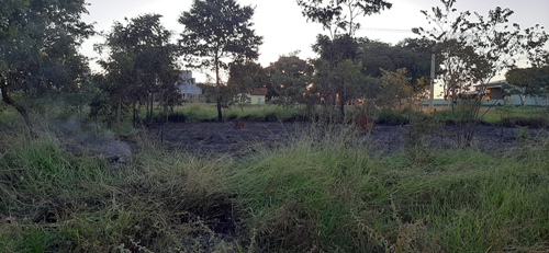 PMA de Jardim autua mulher de 29 anos por provocar incêndio em vegetação em terreno baldio causando transtornos aos vizinhos