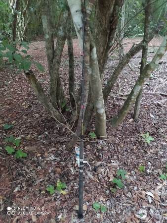 Polícia Militar Ambiental de Jardim autua homem de 49 anos por pesca ilegal no rio Miranda