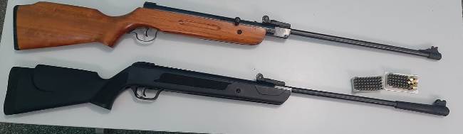 Policia Civil apreende duas armas de fogo e cem munições em Porto Murtinho