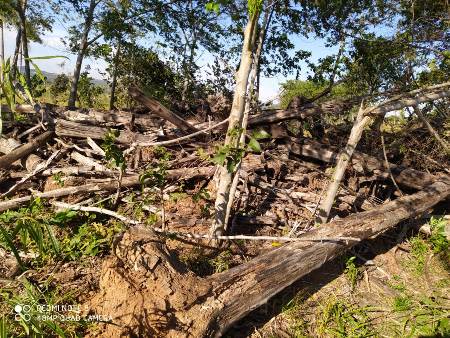 PMA autua comerciante em R$ 37,5 mil por desmatamento de 102 hectares de vegetação nativa em Caracol 