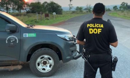 Corredor do narcotráfico, MS tira de circulação 520 toneladas de drogas