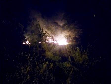 PMA de Bela Vista é acionada para prender incendiário, usa técnica de contenção e apaga fogo antes que se alastrasse por uma grande área de vegetação
