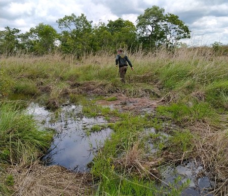 Polícia Militar Ambiental de Jardim autua pecuarista em R$ 20 mil por desmatamento de 3,5 hectares em áreas de nascentes para construção de estrada