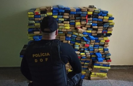 Quase meia tonelada de maconha foram apreendidos pelo DOF em uma residência durante a Operação Hórus