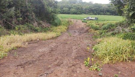 Polícia Militar Ambiental de Bonito autua pecuarista por desmatamento ilegal de vegetação nativa em sua propriedade no município de Porto Murtinho