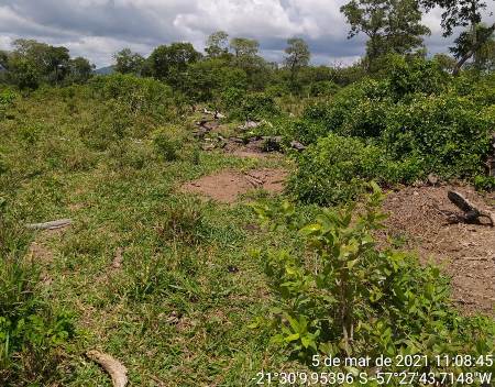 Polícia Militar Ambiental de Porto Murtinho autua infrator em R$ 90 mil por desmatamentos ilegais de 258 hectares