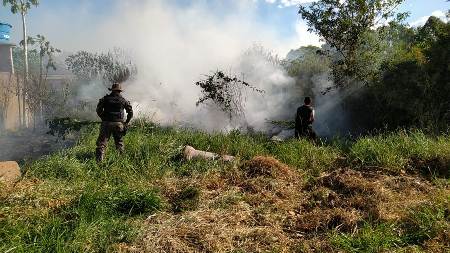 PMA aperta fiscalização a incêndios urbanos na operação Prolepse e jovem de 20 anos é autuado em R$ 1,2 mil em Bela Vista por incêndios de terrenos