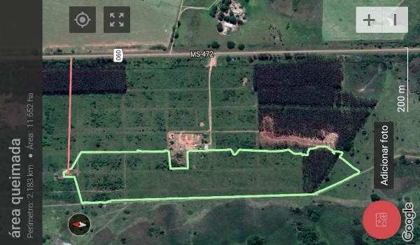 PMA de Bela Vista autua durante a operação Prolepse dono de carvoaria em R$ 12 mil por incêndio de vegetação de eucalipto e pastagem