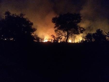 PMA de Bela Vista é acionada para prender incendiário e contém fogo à margem da BR 060