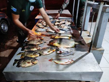 Pma E Pm De Porto Murtinho Prendem Infrator Pescado Ilegal