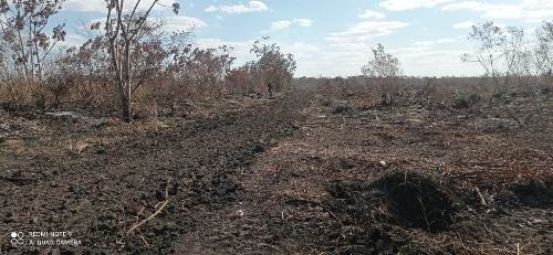 PMA de Bela Vista debela incêndio e autua infrator em R$ 70 mil na operação Prolepse